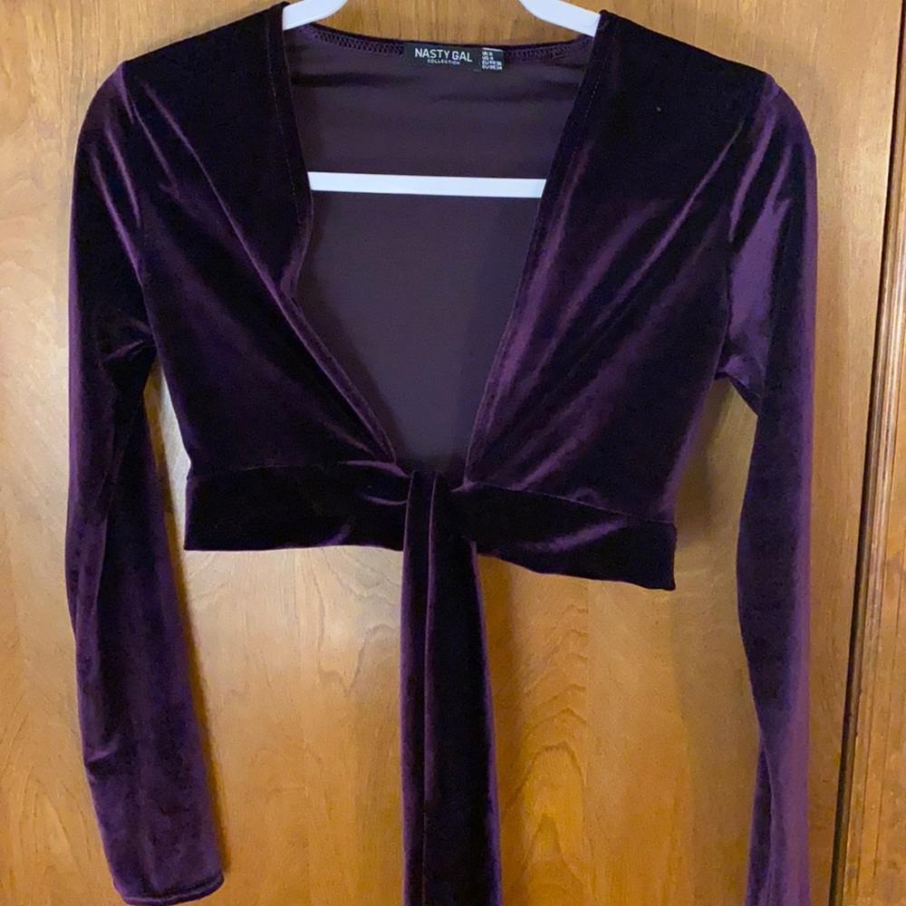 Nasty Gal Velvet Purple Long Sleeve Crop